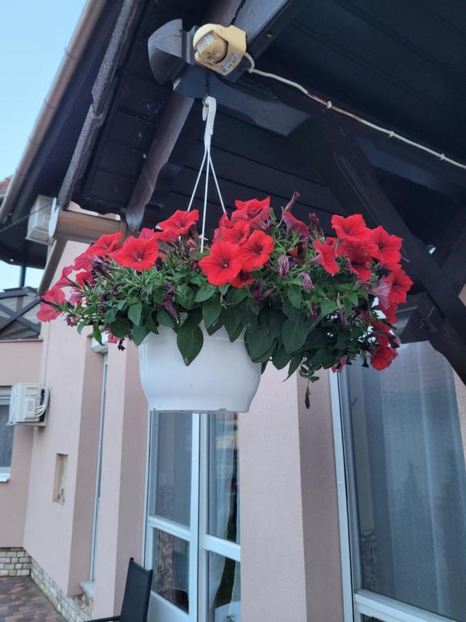 Anda Vendeghaz Otel Harkány Dış mekan fotoğraf