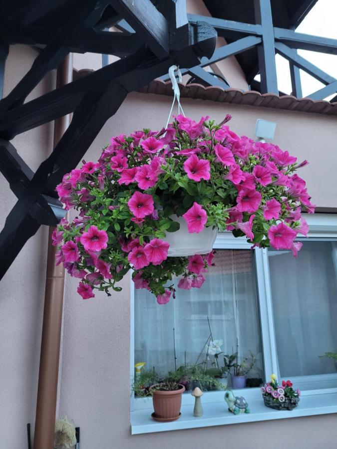 Anda Vendeghaz Otel Harkány Dış mekan fotoğraf