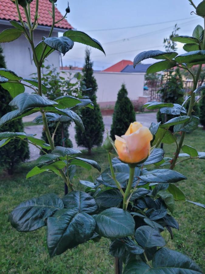 Anda Vendeghaz Otel Harkány Dış mekan fotoğraf